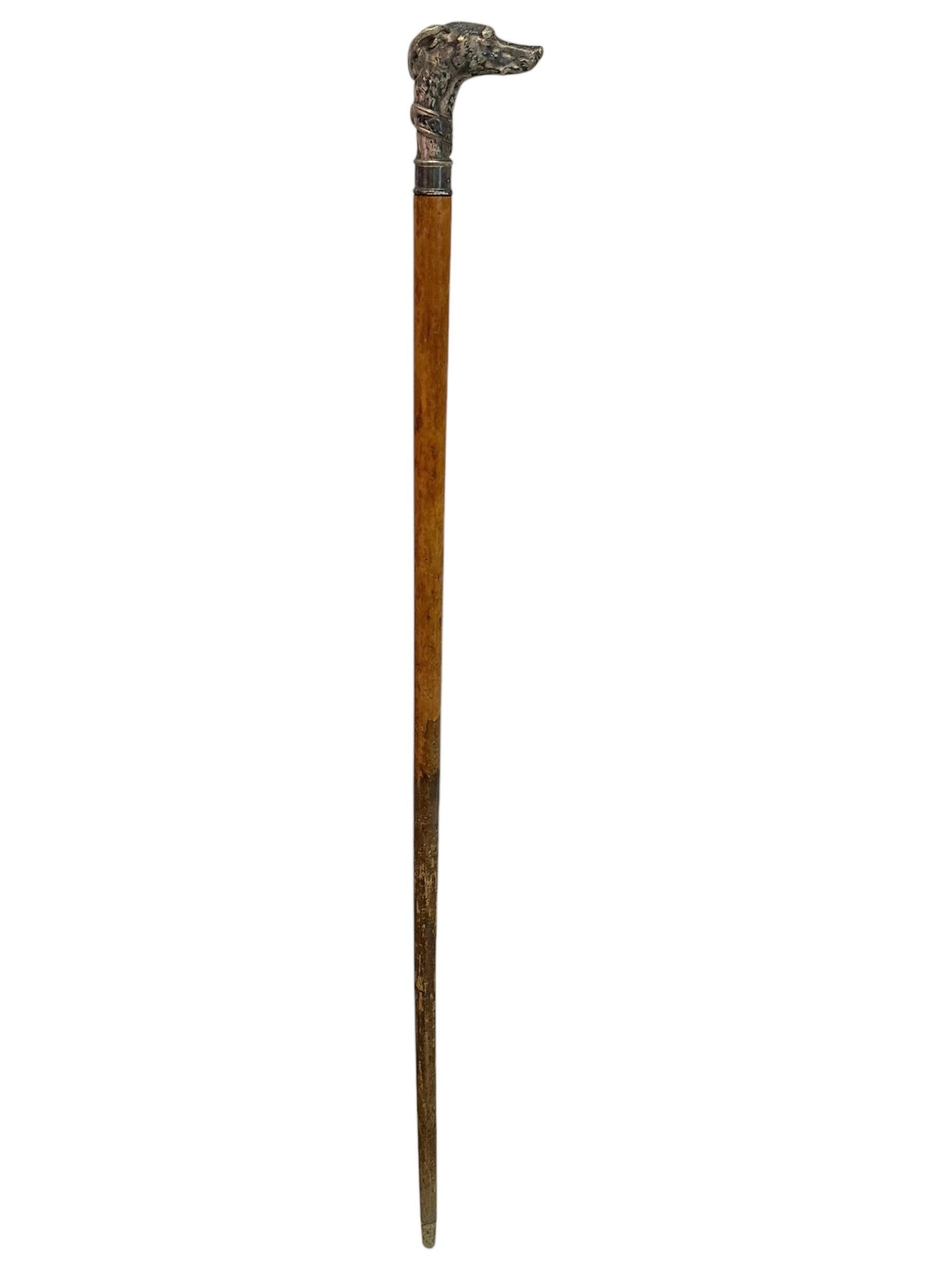 Antique Whippet Greyhound Head Dog Walking Stick Cane, 1890s, Germany 4