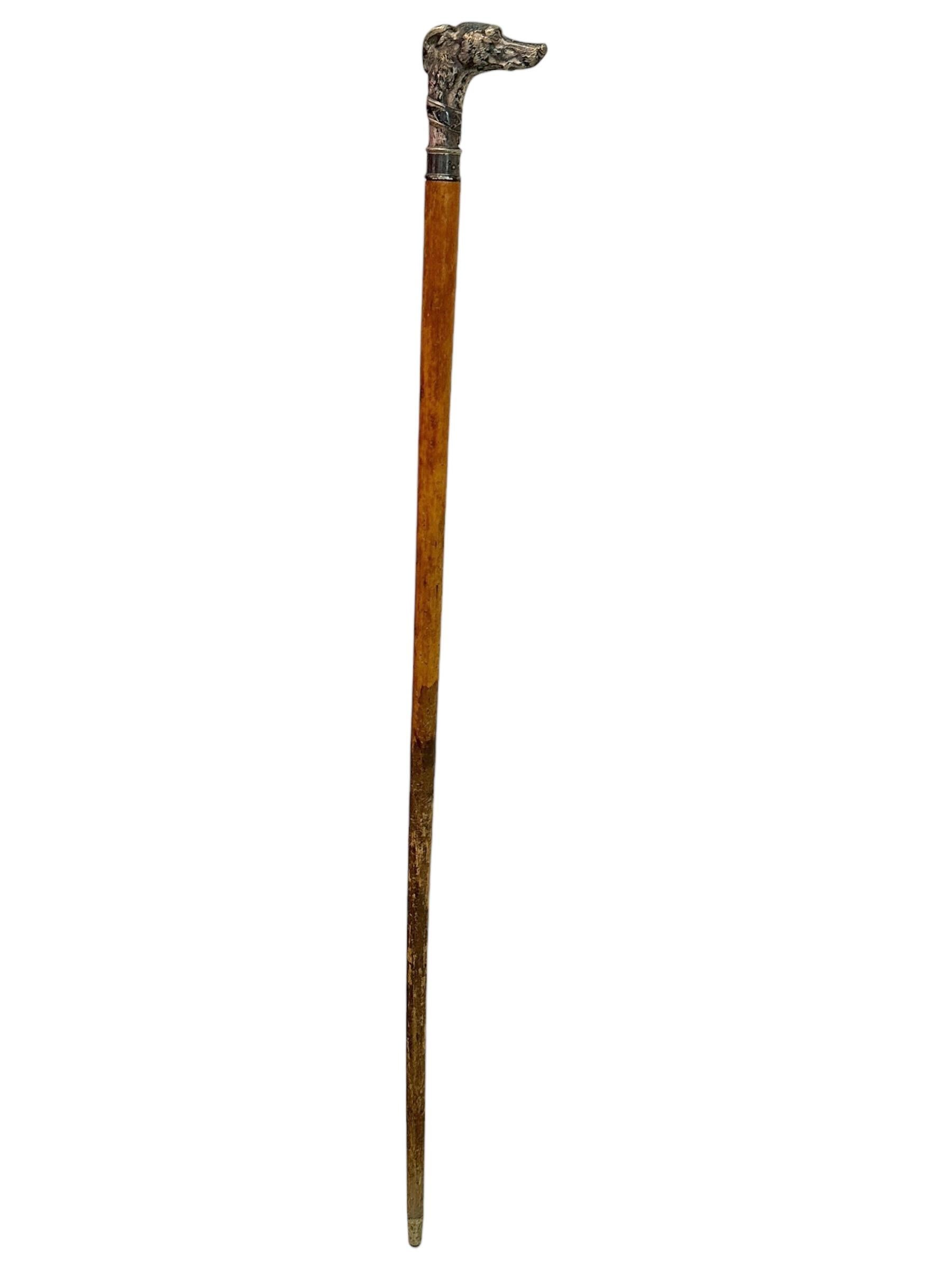 Beautiful metal dog head, wooden walking stick cane. Bought for you in Nuremberg Germany, European made at the end of the 19th century. Wonderfully expressive representation of a whippet or greyhound dog. Engraved with F. Fitz, probably name of