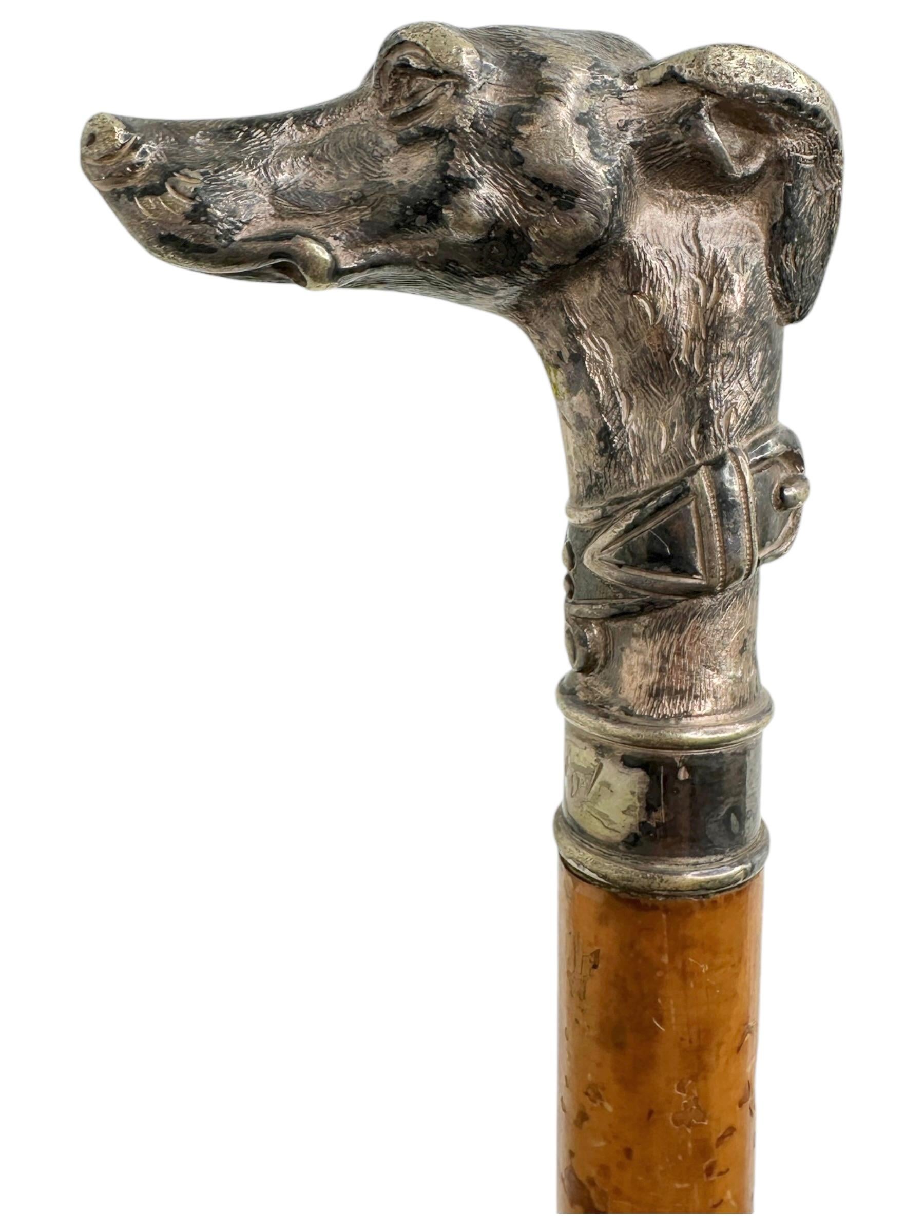 Hollywood Regency Antique Whippet Greyhound Head Dog Walking Stick Cane, 1890s, Germany