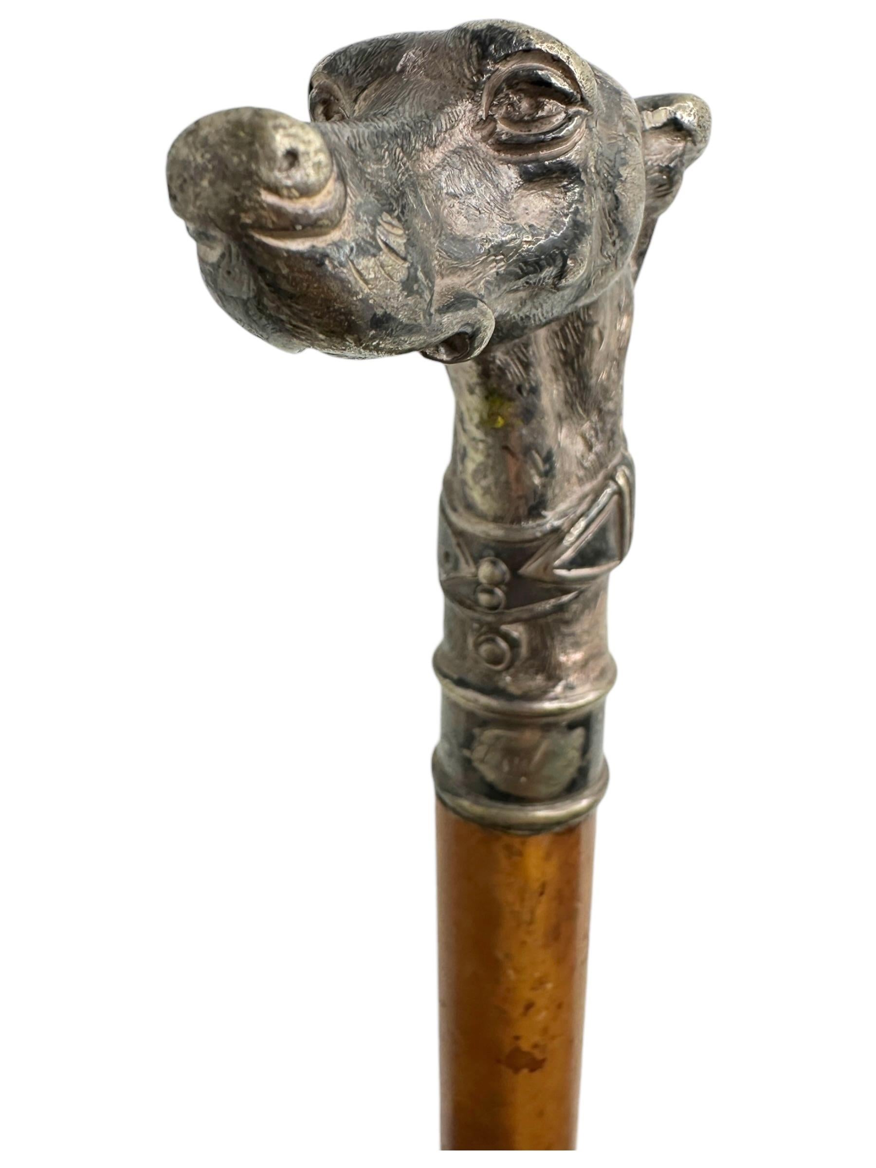 Hand-Carved Antique Whippet Greyhound Head Dog Walking Stick Cane, 1890s, Germany