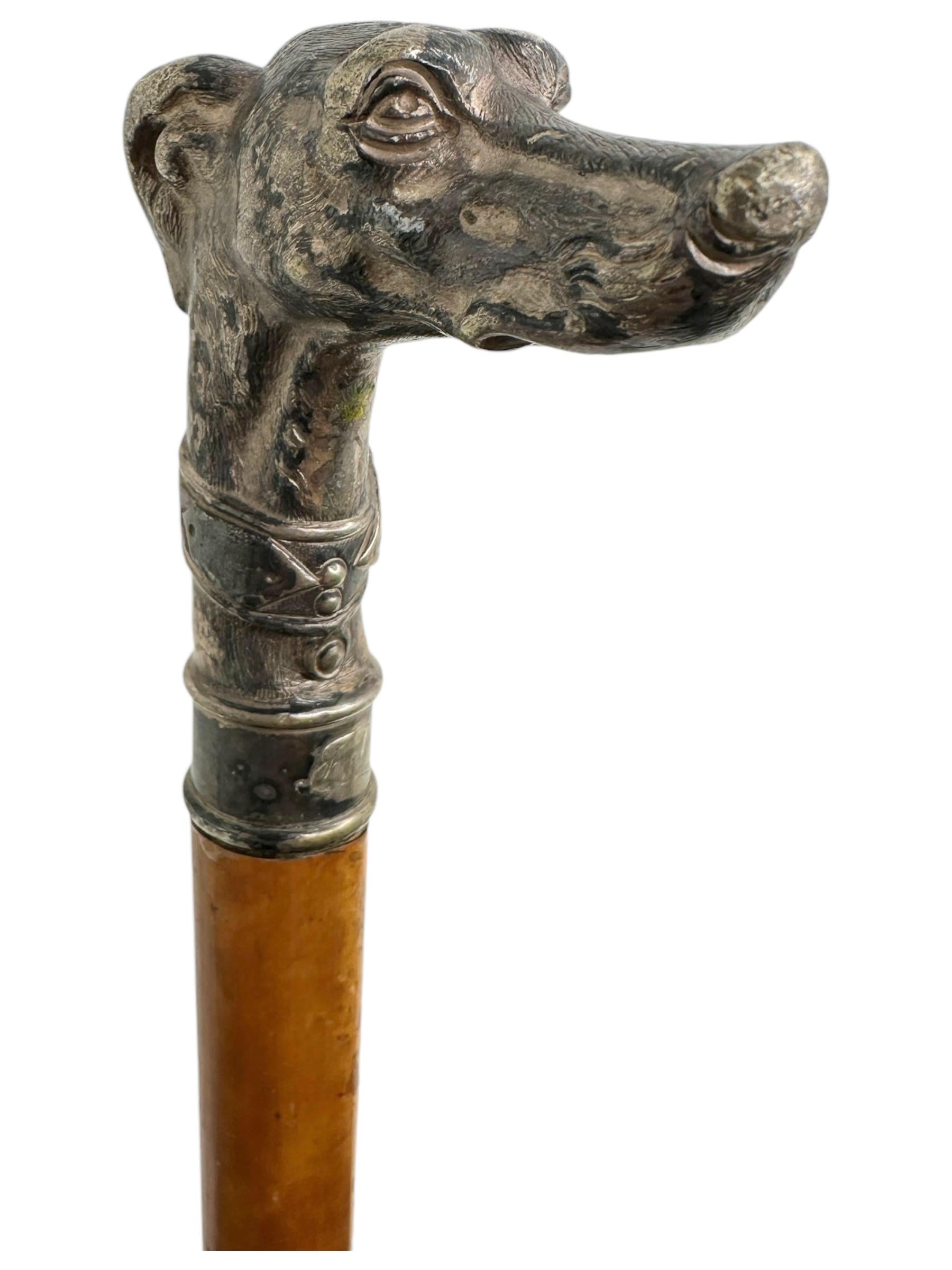 Antique Whippet Greyhound Head Dog Walking Stick Cane, 1890s, Germany In Good Condition In Nuernberg, DE