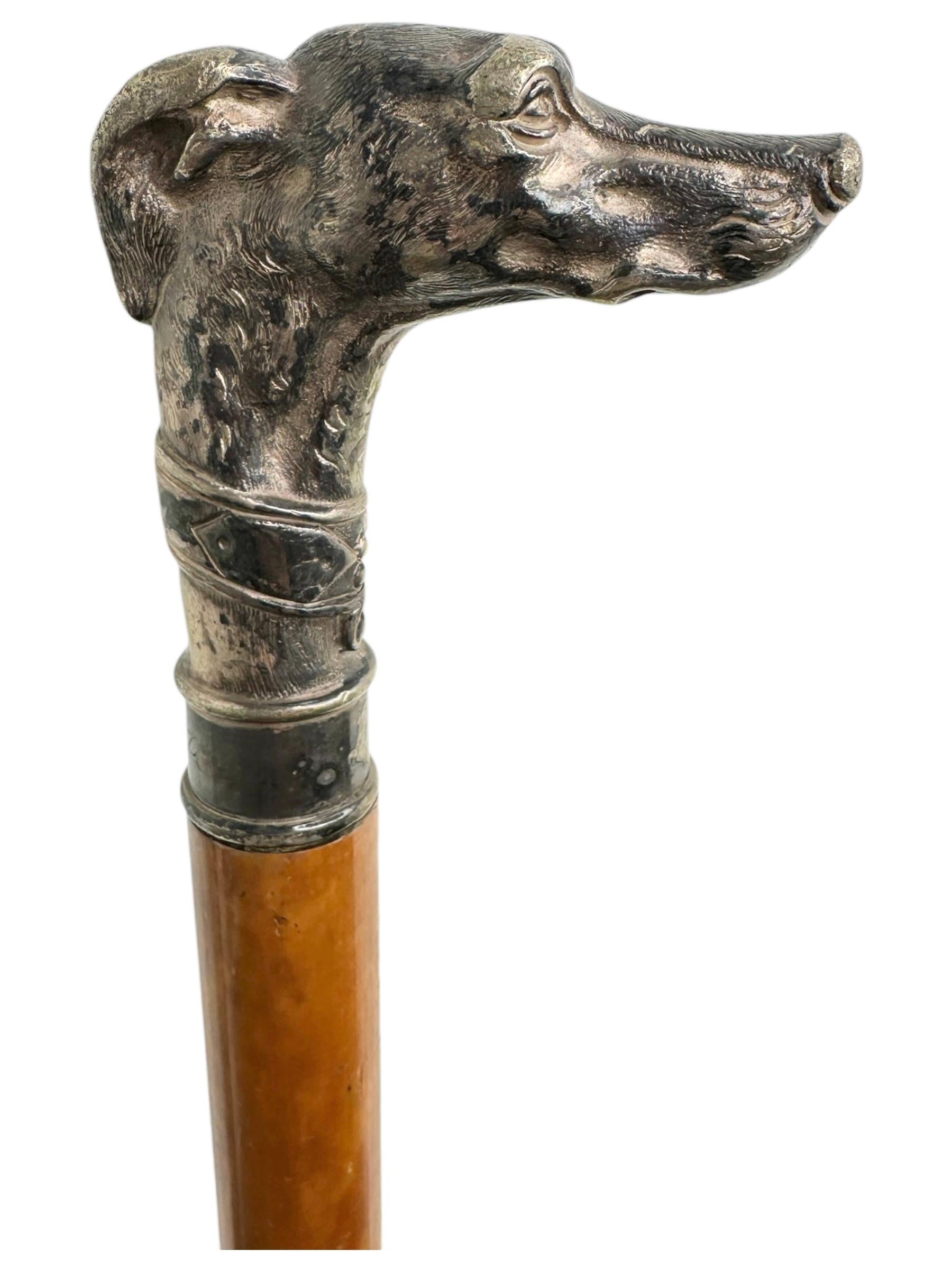 Late 19th Century Antique Whippet Greyhound Head Dog Walking Stick Cane, 1890s, Germany
