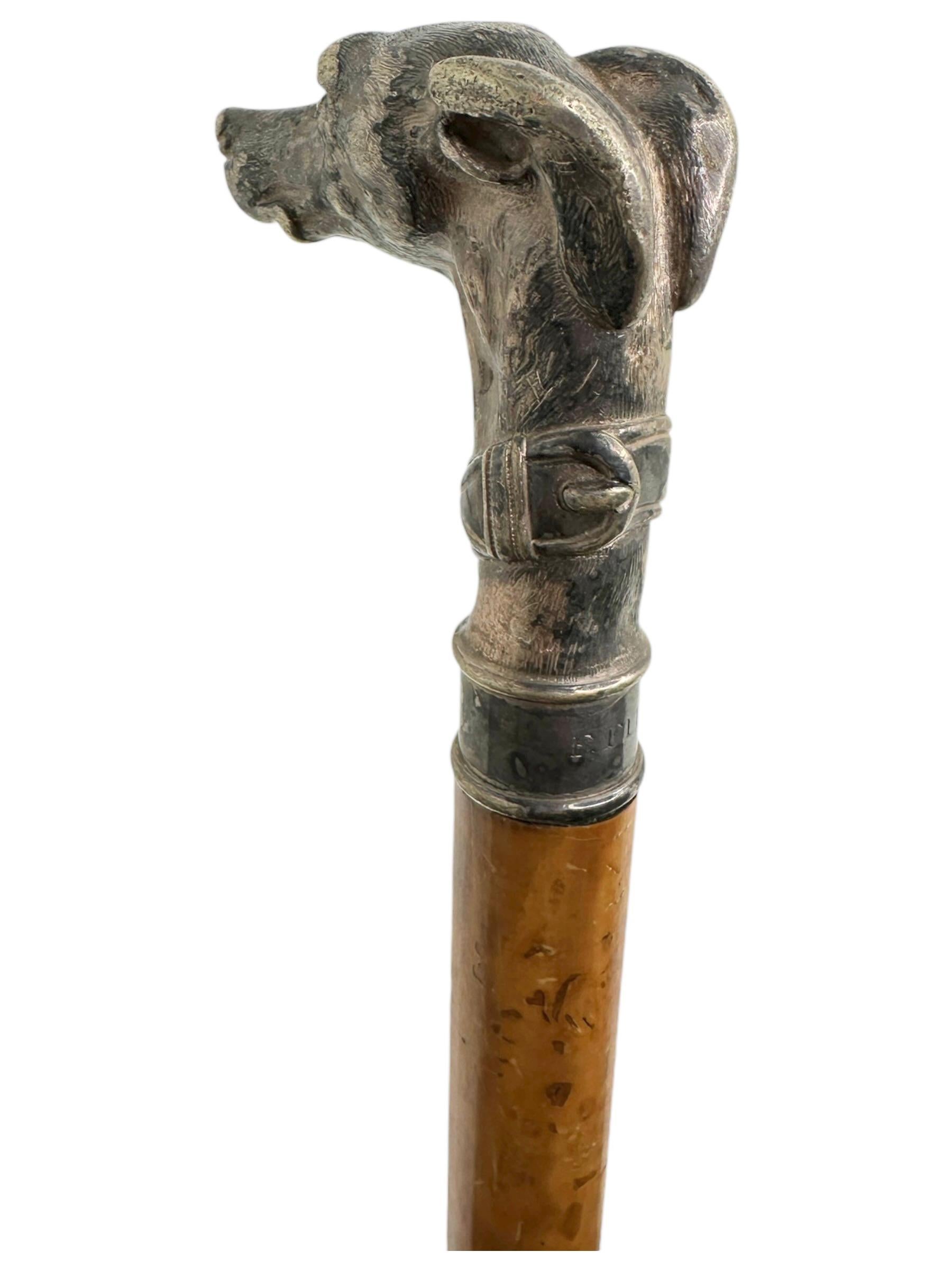 Antique Whippet Greyhound Head Dog Walking Stick Cane, 1890s, Germany 1