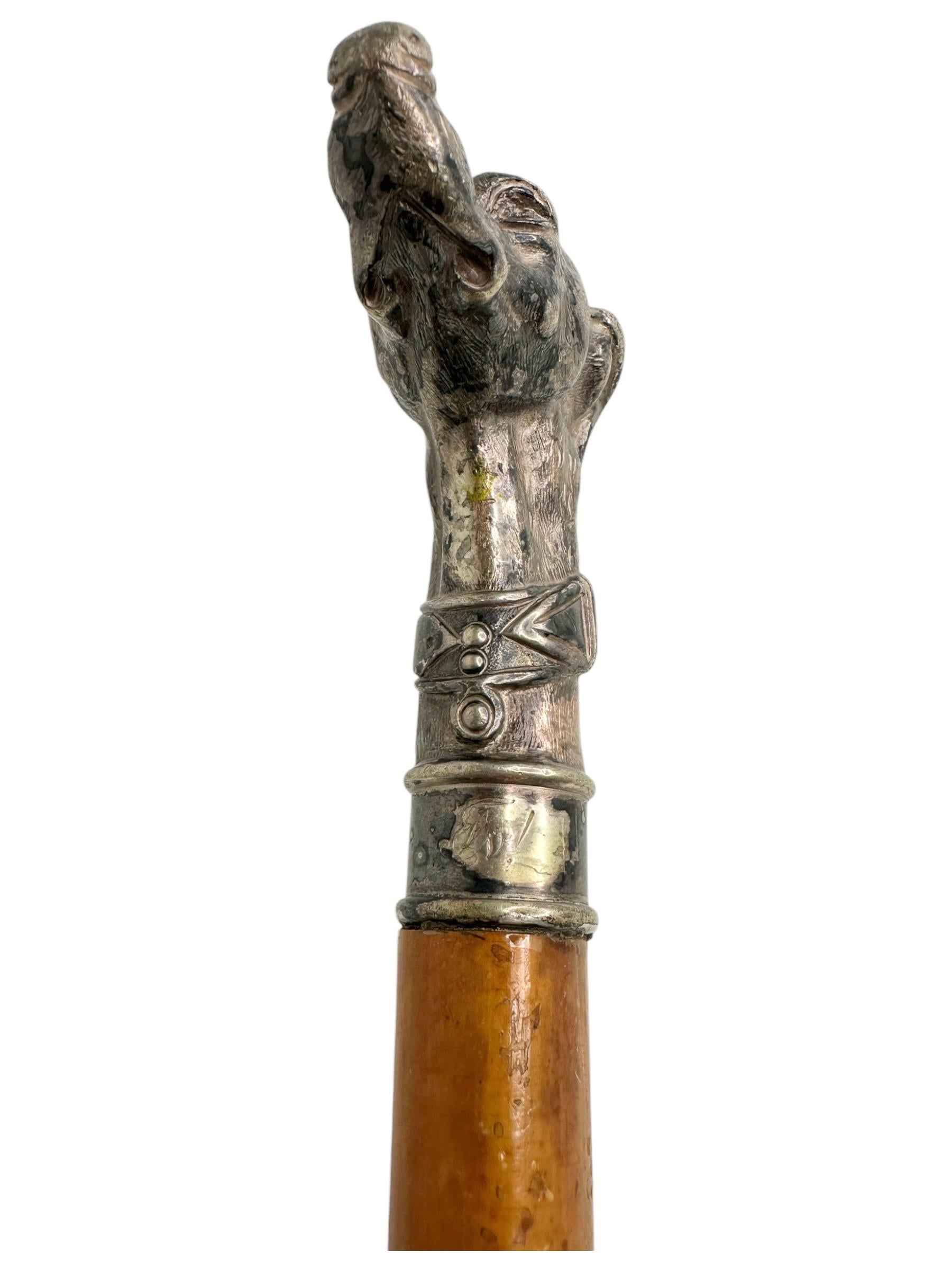 Antique Whippet Greyhound Head Dog Walking Stick Cane, 1890s, Germany 2