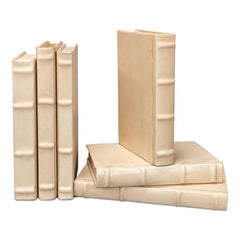 Lot de 12 livres décoratifs anciens reliés en cuir blanc