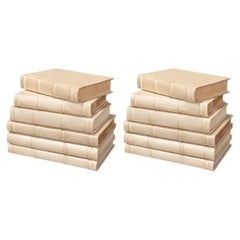Lot de 12 livres décoratifs anciens reliés en cuir blanc