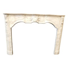 Antique White Marble Fireplace Floral Sculptures, Choppy and Rich, 1800 France