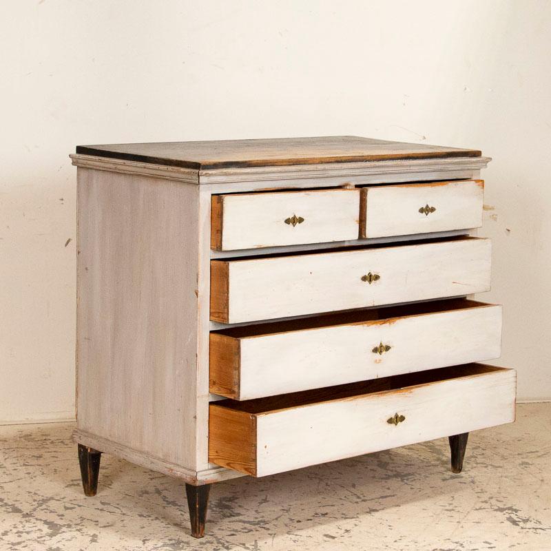 19th Century Antique White Painted Swedish Gustavian Chest of Five Drawers