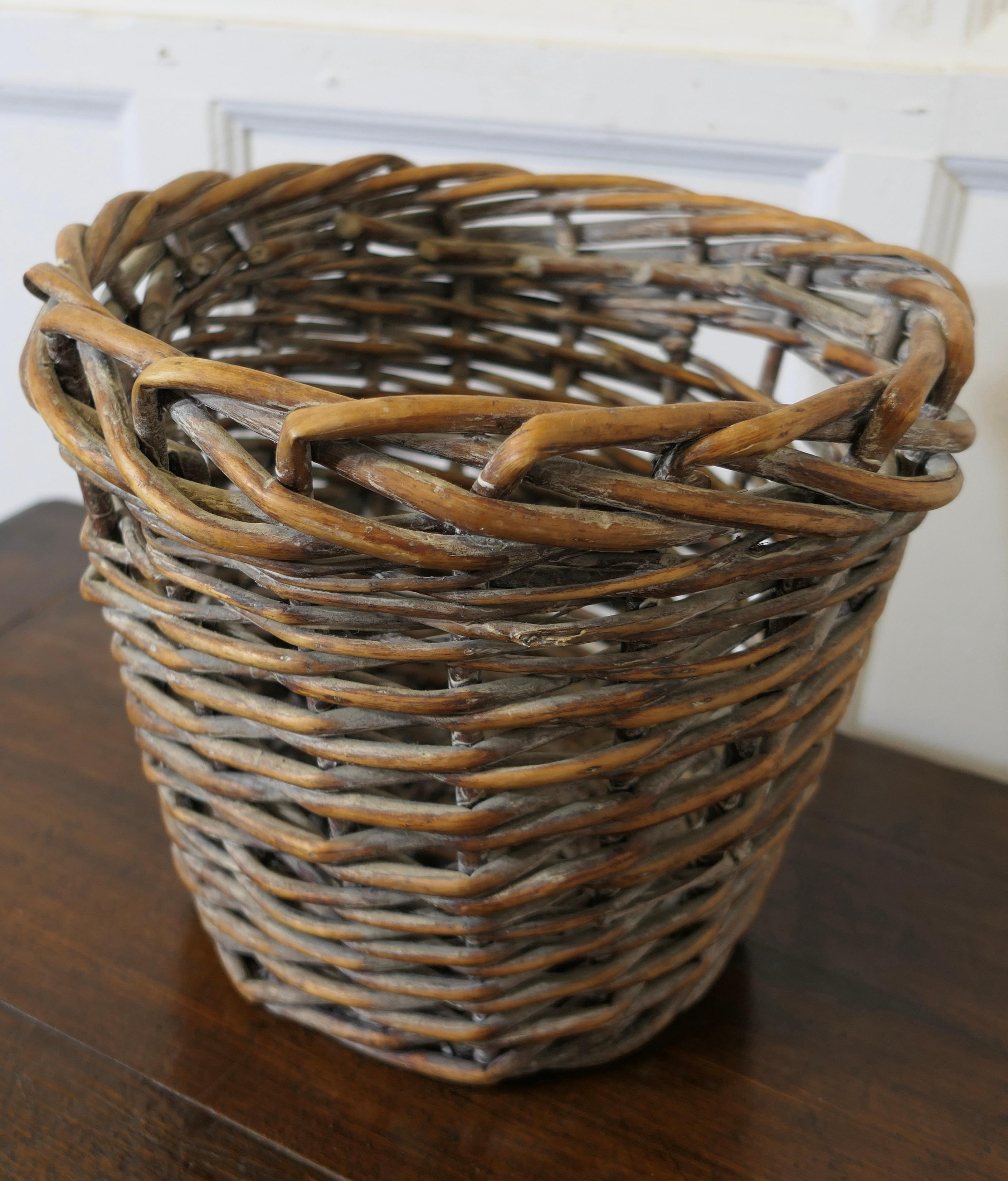 19th Century Antique Wicker Waste Paper Basket  This is an excellent example   For Sale
