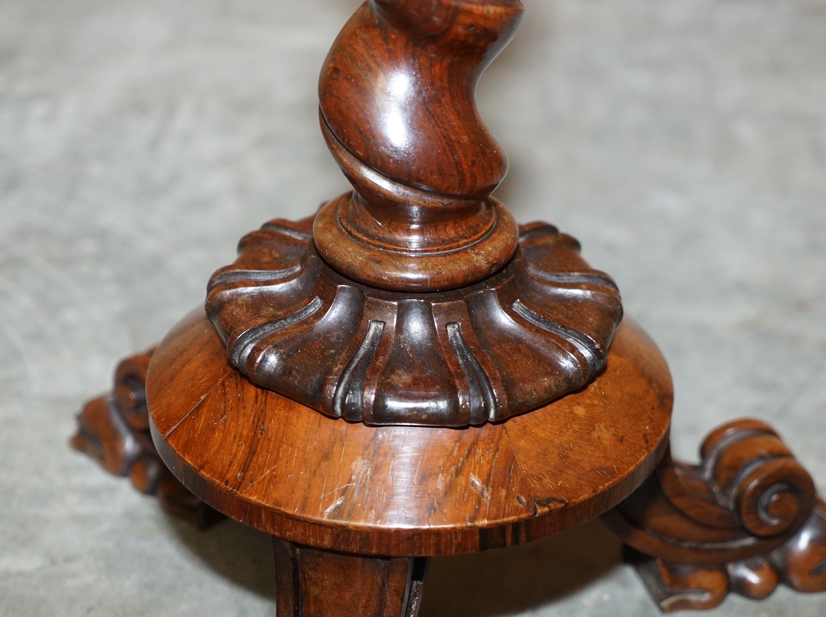 Antiguo William IV 1830 Mesa auxiliar de madera dura + tapa de vitrina con camafeo Grand Tour Hecho a mano en venta