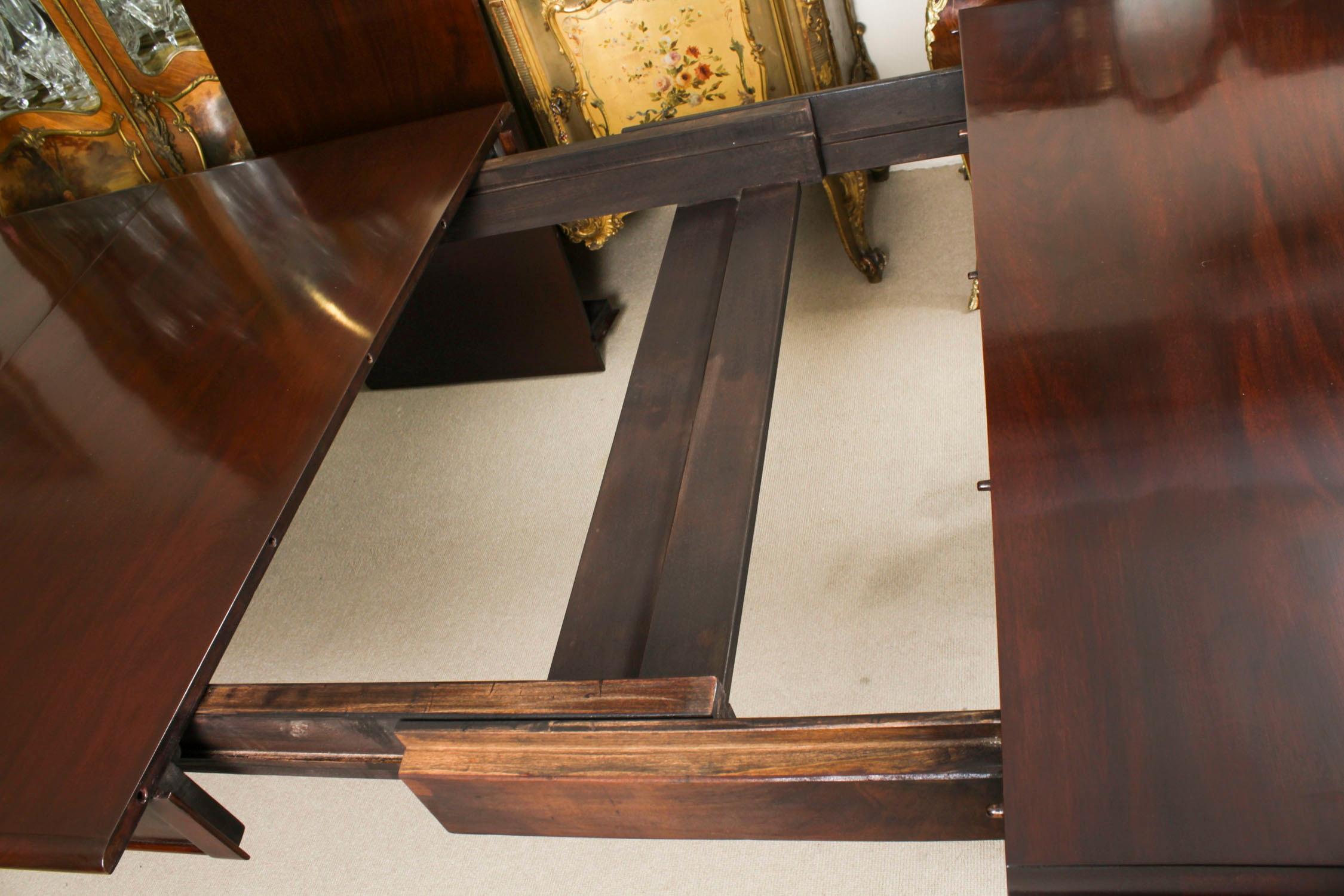 Antigua Mesa de Comedor Extensible William IV Siglo XIX y 10 Sillas con Respaldo Globo 3