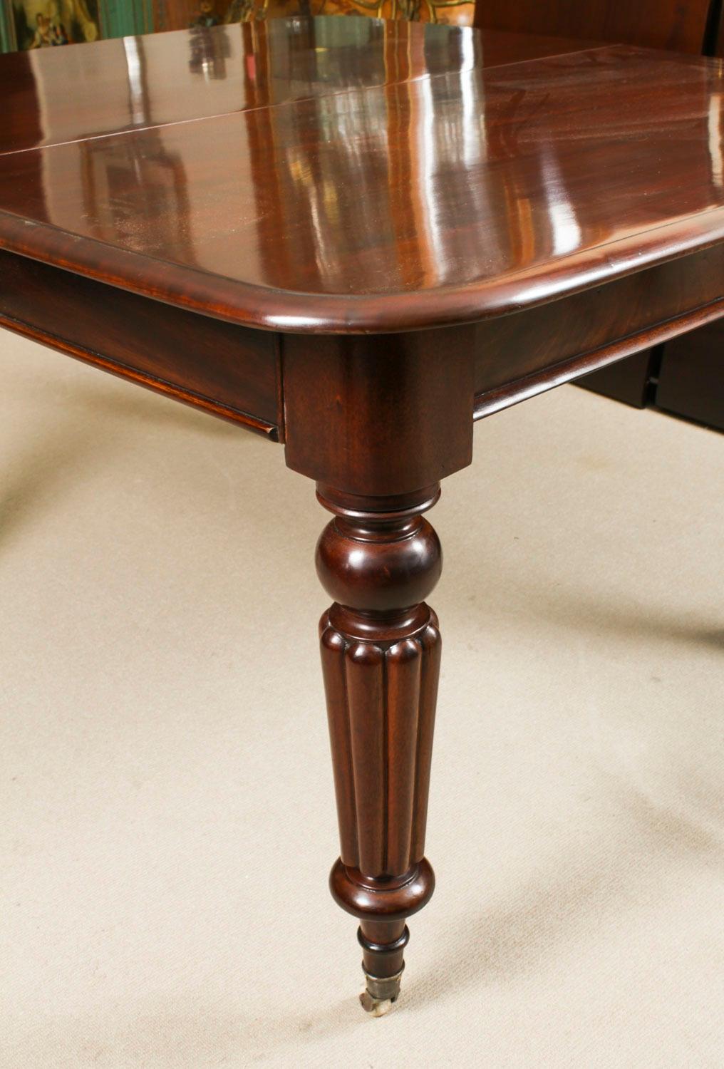 Antigua Mesa de Comedor Extensible William IV Siglo XIX y 10 Sillas con Respaldo Globo 7