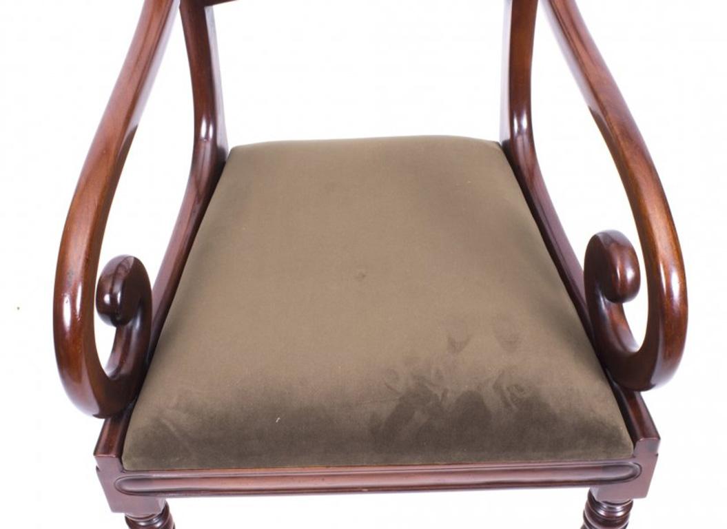 Antique William IV Mahogany Dining Table and 10 Chairs, 19th Century 11