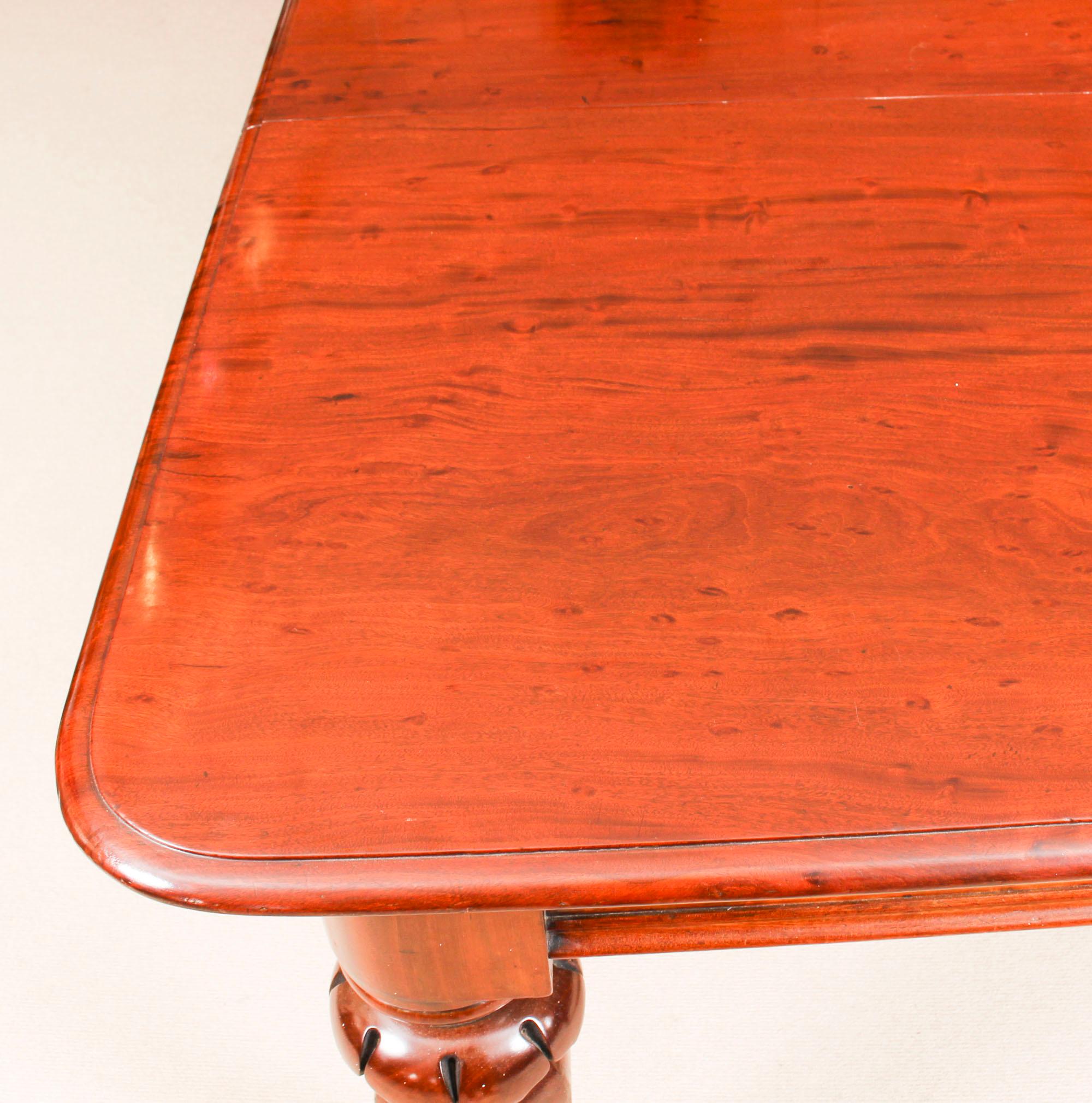 Antique William IV Mahogany Dining Table and 10 Chairs, 19th Century 1
