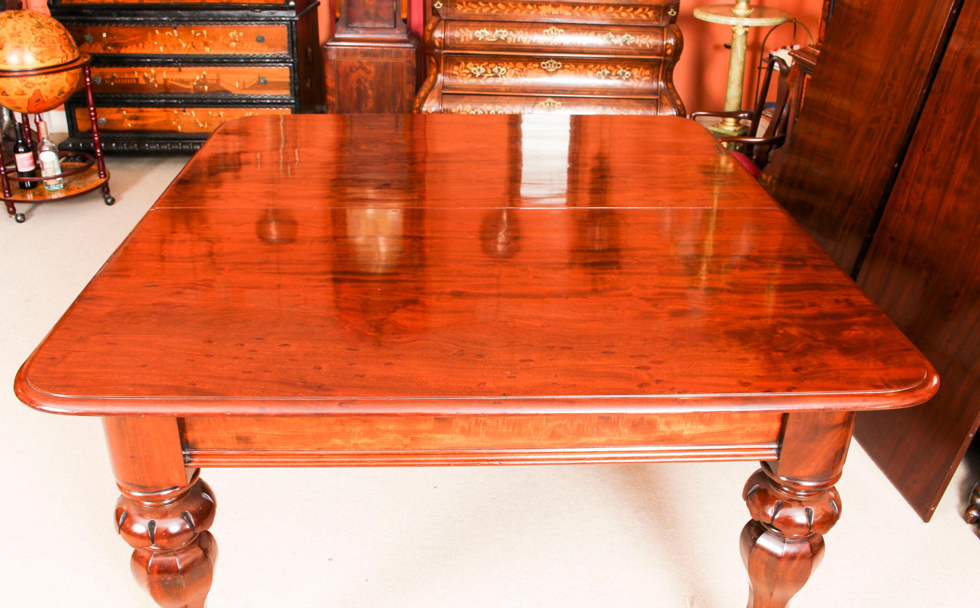 Antique William IV Mahogany Dining Table and 10 Chairs, 19th Century 2
