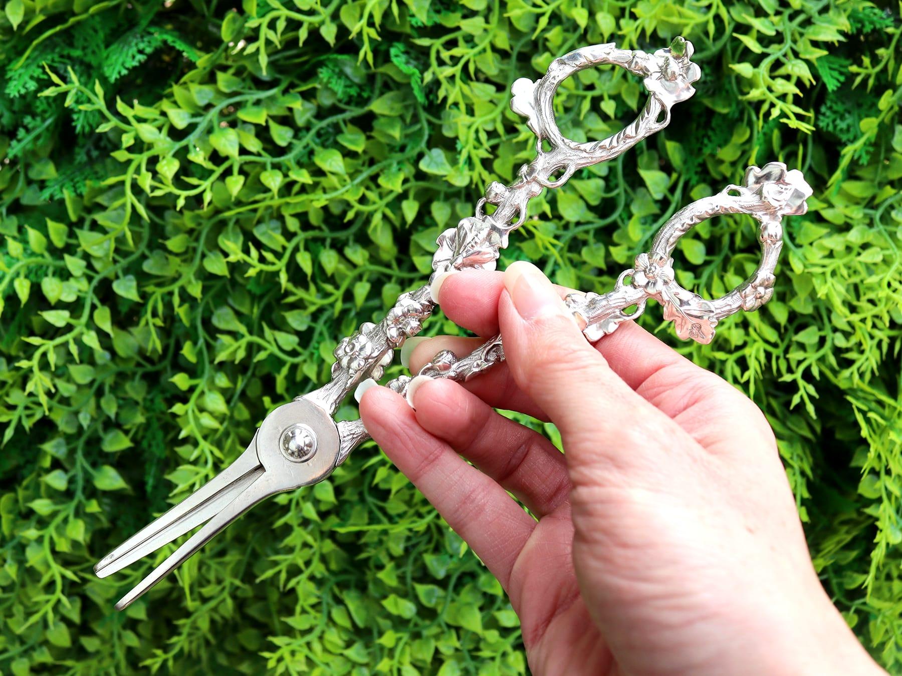 English Antique William IV Sterling Silver Grape Shears by Paul Storr For Sale