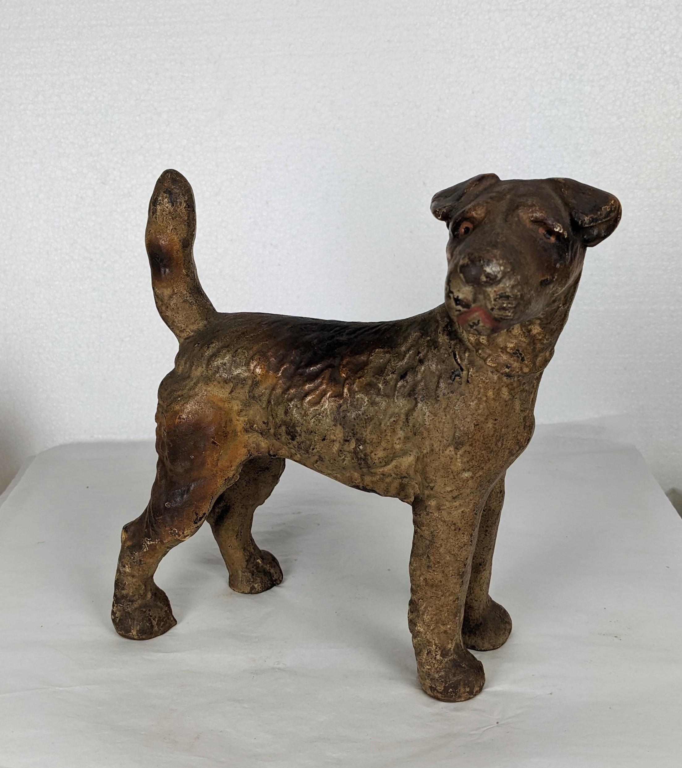 Charming Iron Wire Haired Fox Terrier Door Stop with intact original paint attributed to Hubley circa 1910. Hard to find with original patinaed cold enamel finish.  Dimensions: 7
