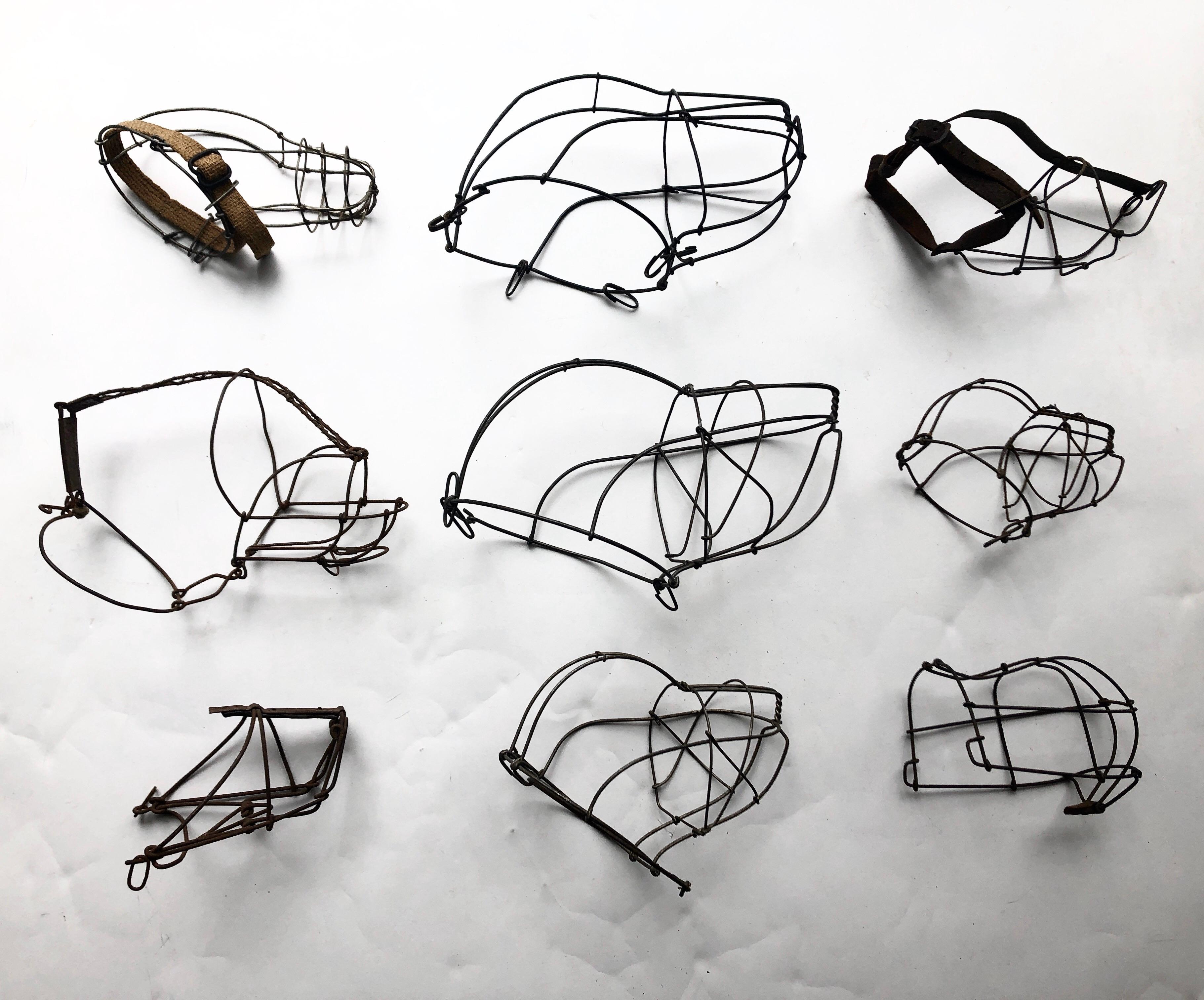 A collection of 9 antique wire dog muzzles in various shapes and designs. All are like miniature sculptures. Can be displayed on stands or a table. Can be mounted on a wall sideways or frontal. The largest measures 10.5