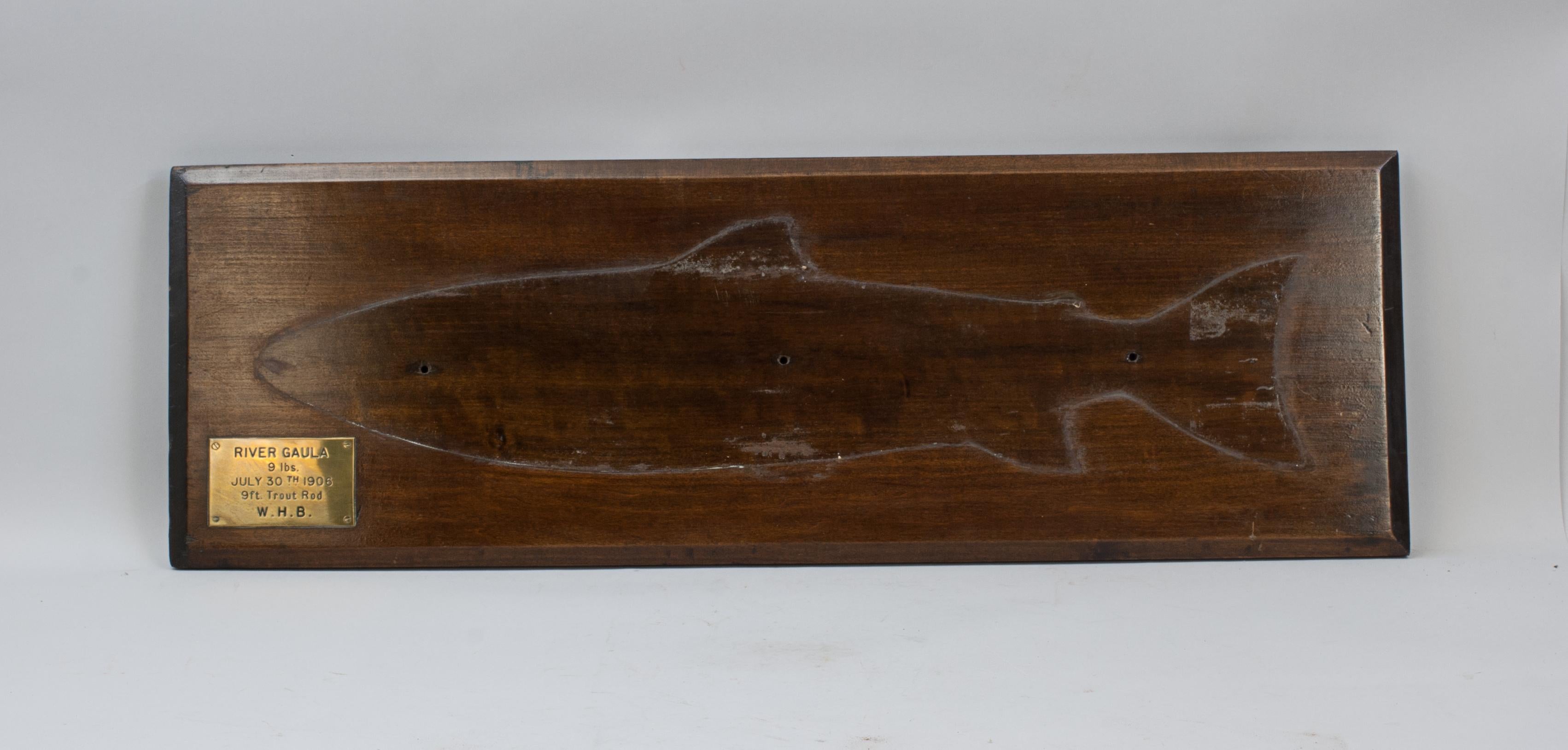 Talla Antigua De Madera De Trucha De Mar 8