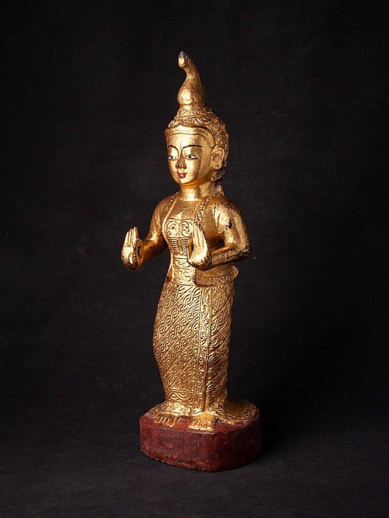 Material: wood
65,2 cm high 
19 cm wide and 17,5 cm deep
Weight: 3.923 kgs
Gilded with 24 krt. gold
Vitarka mudra
Originating from Burma
19th century.
 