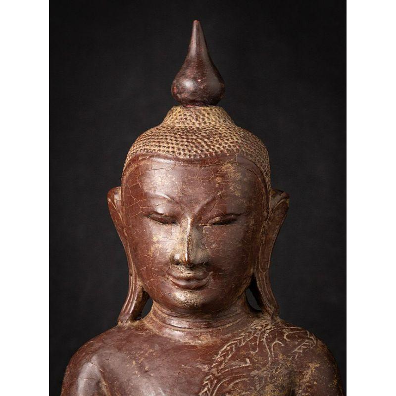 Bouddha birman Shan ancien en bois de Birmanie en vente 5