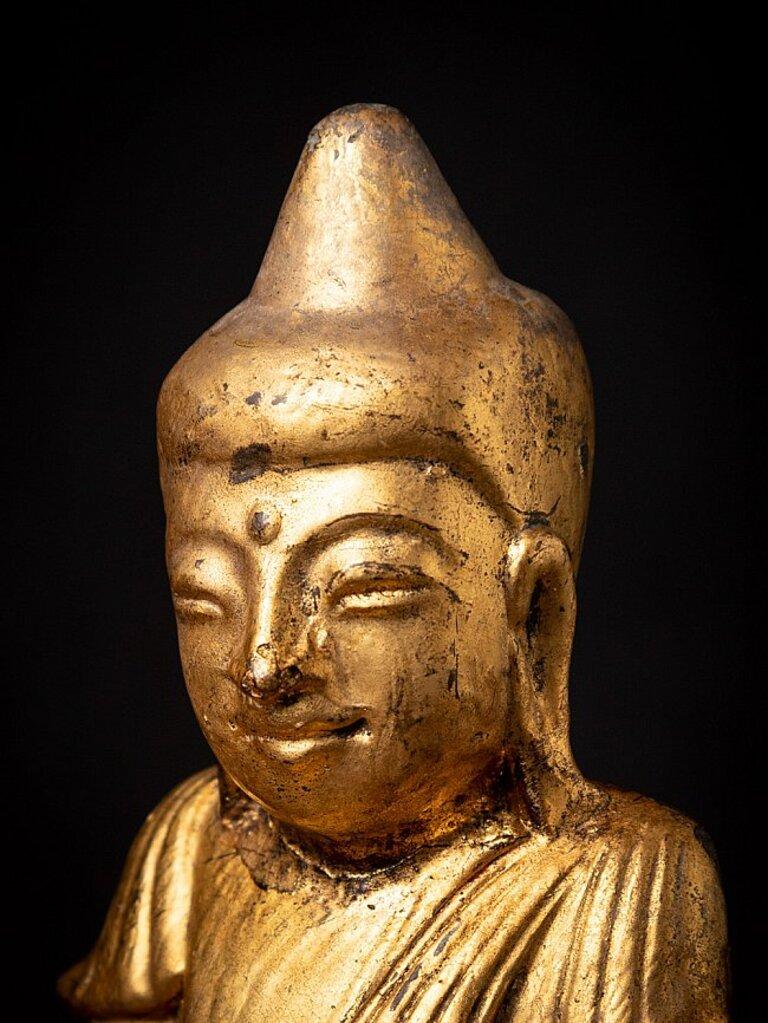Bouddha birman Shan ancien en bois de Birmanie en vente 7