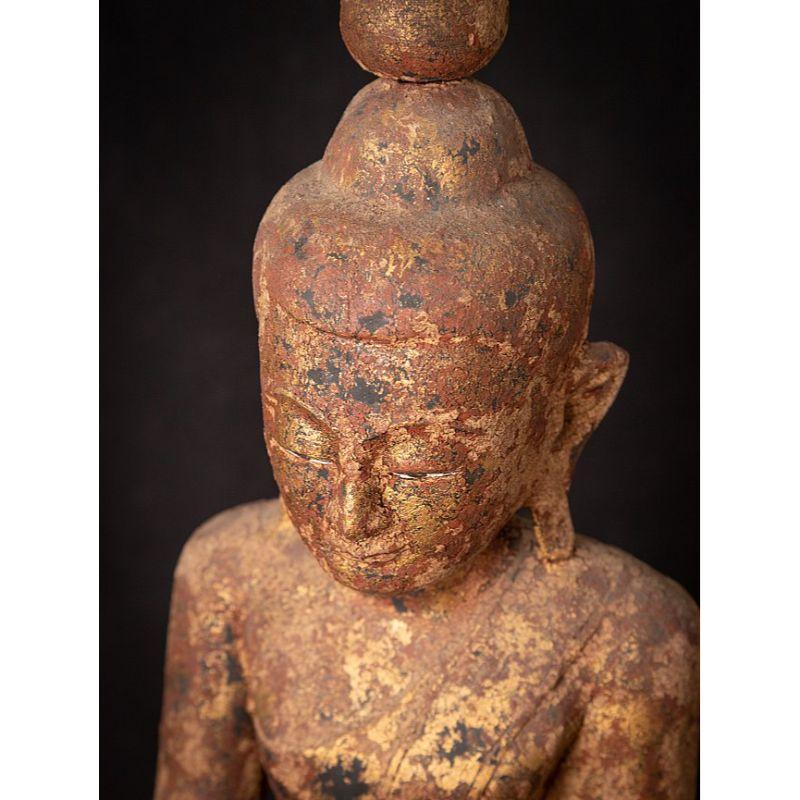 Bouddha birman Shan ancien en bois de Birmanie en vente 10