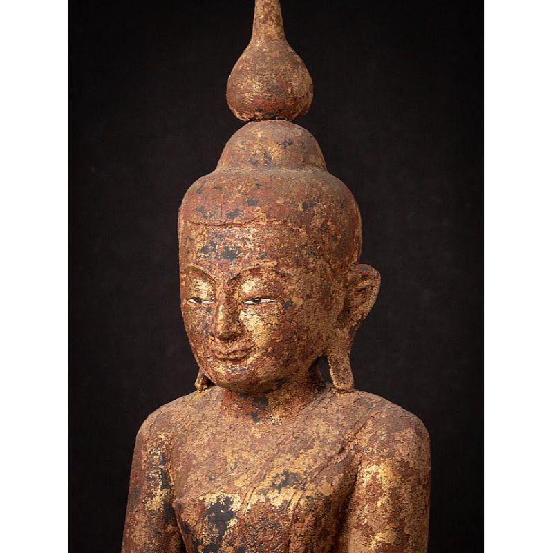 Bouddha birman Shan ancien en bois de Birmanie en vente 1