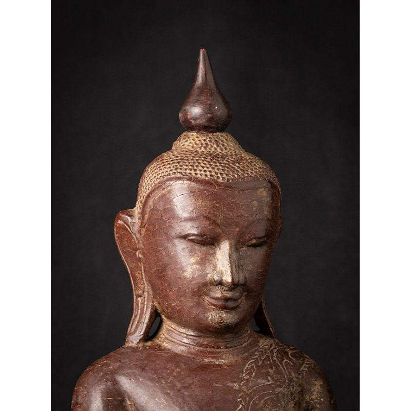 Bouddha birman Shan ancien en bois de Birmanie en vente 3