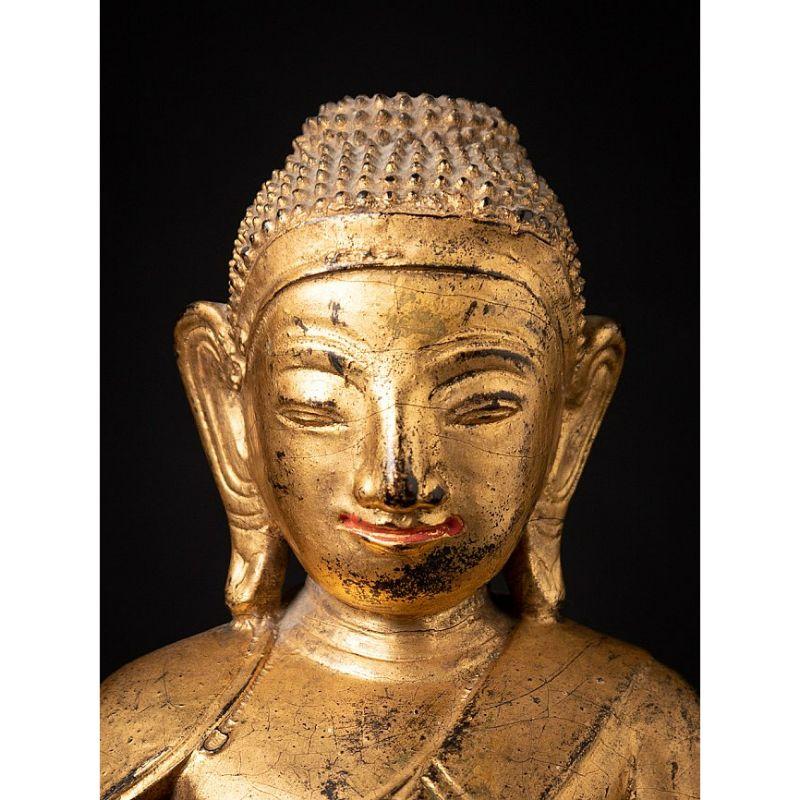 Bouddha birman Shan ancien en bois de Birmanie en vente 4