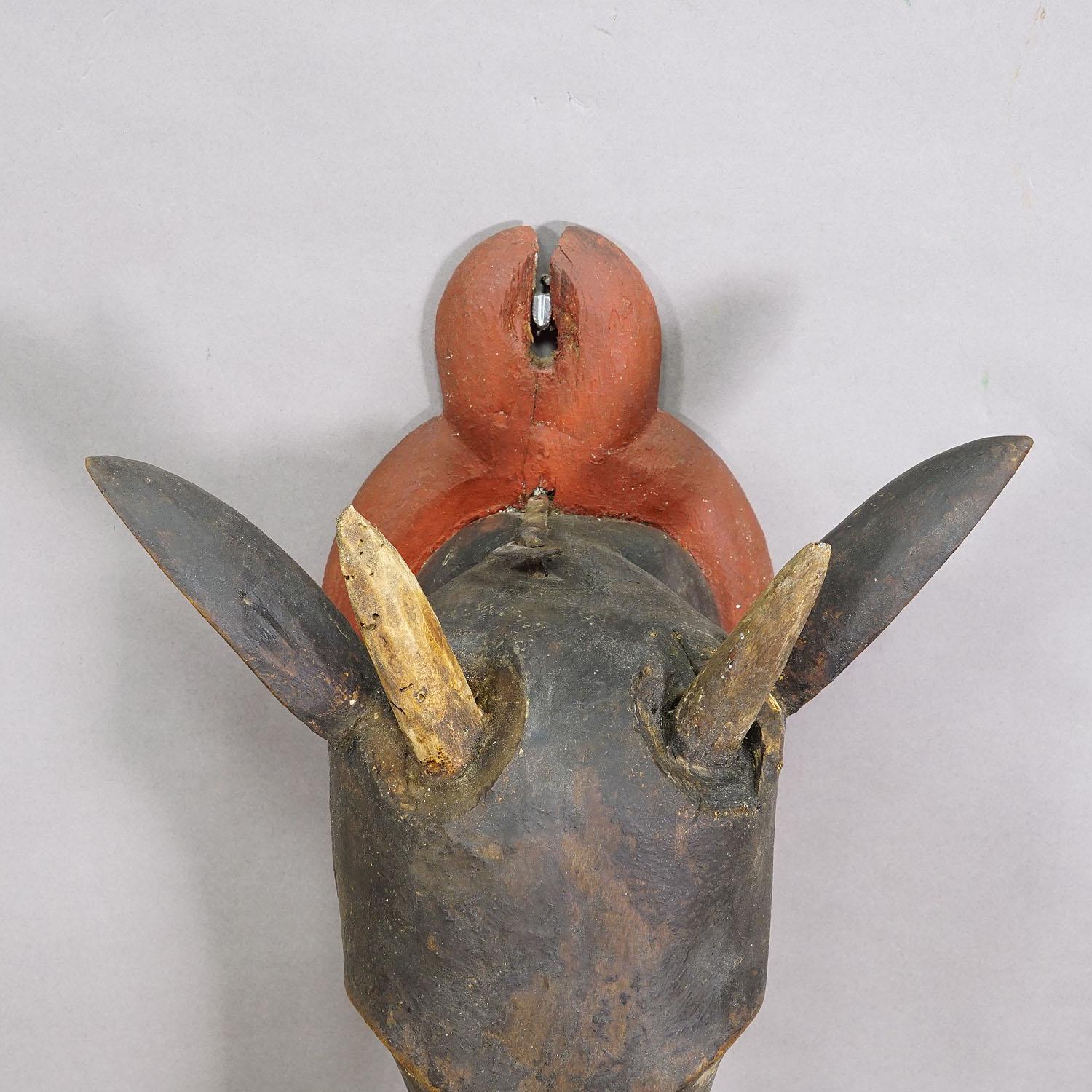 Antique Wooden Carved Black Forest Baroque Stag Head with 12 Point Trophy For Sale 4