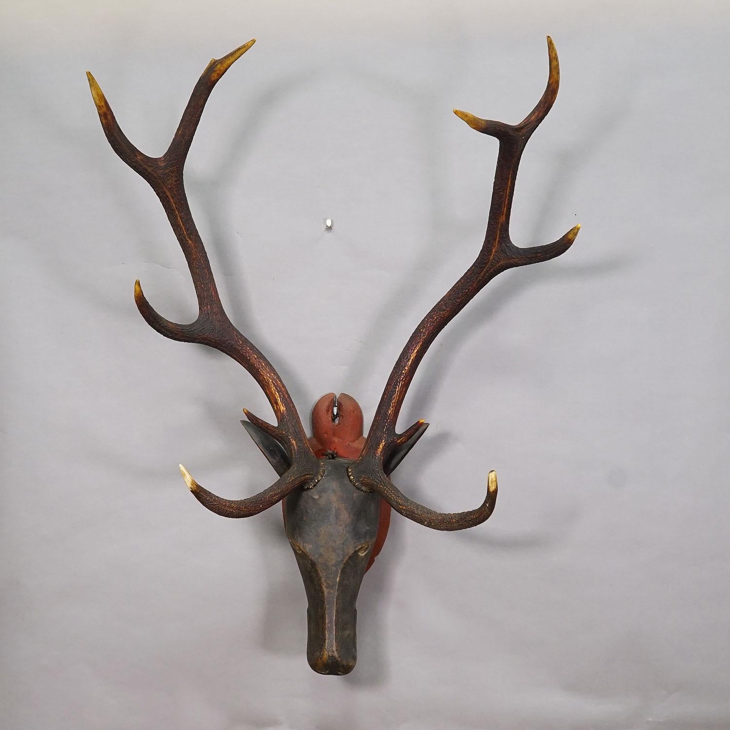 German Antique Wooden Carved Black Forest Baroque Stag Head with 12 Point Trophy For Sale