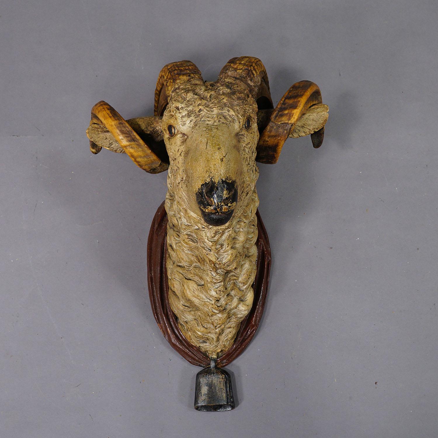 Antique Wooden Carved Black Forest Mouflon Head ca. 1880s

A large antique wooden carved Black Forest mouflon head. It features a real ram's horn trophy and is mounted on a wooden carved plaque with brown finish and a carved bell. A great individual