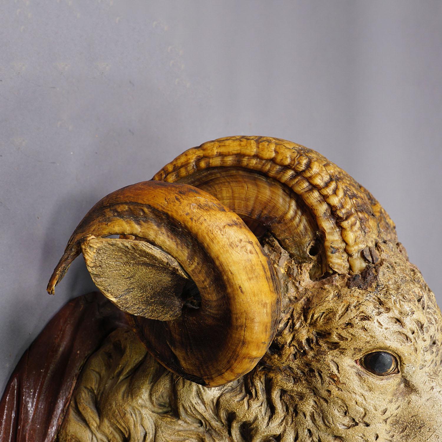 Antique Wooden Carved Black Forest Mouflon Head ca. 1880s For Sale 1