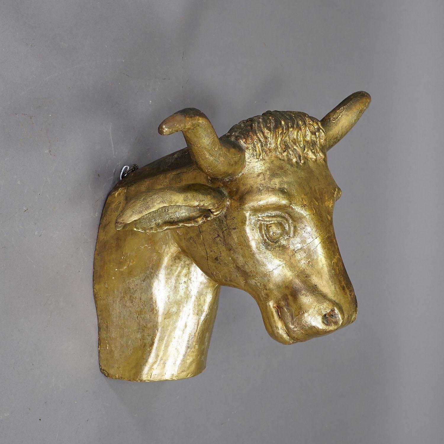 Tête de taureau antique sculptée et dorée, vers 1840 Bon état - En vente à Berghuelen, DE