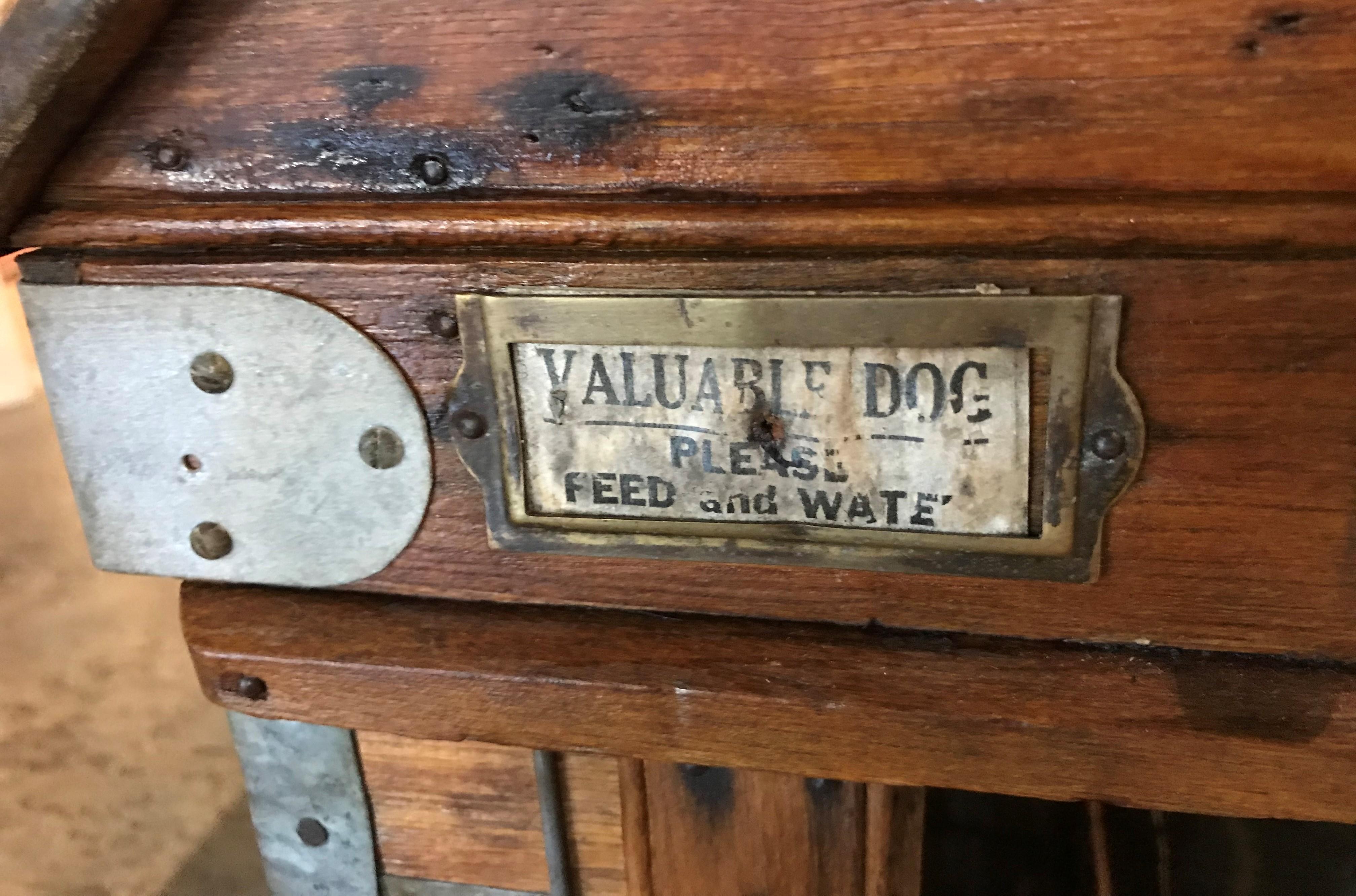 Antique Wooden Dog Carrier by Absalom Backus, Jr & Sons with Label circa 1902 1