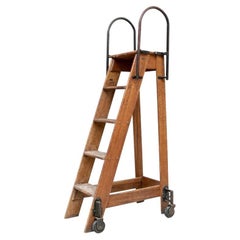 Retro Wooden Industrial Ladder with Iron Handles by Putnam & Co., New York No