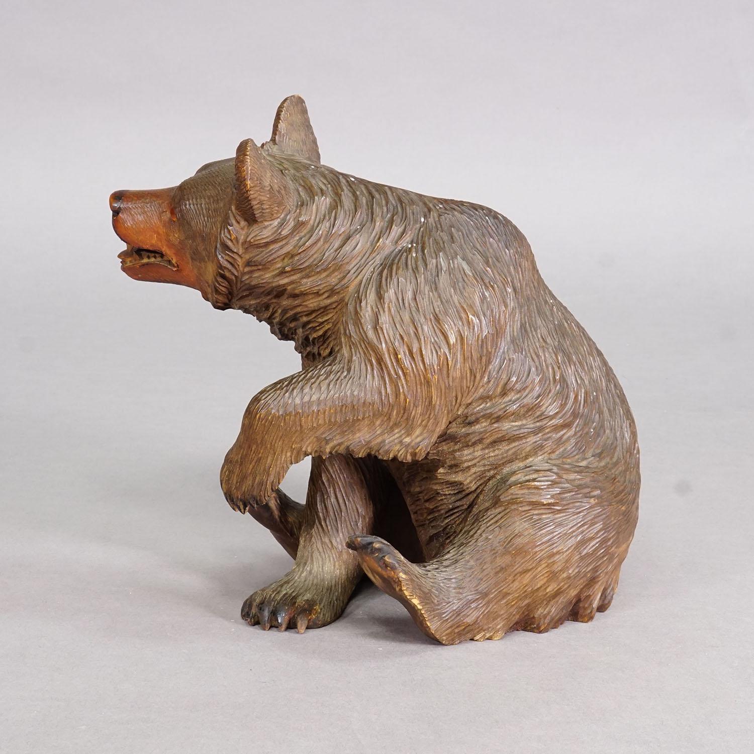Antiker sitzender Bär aus Holz, handgeschnitzt ca. 1920er Jahre, Brienz

Eine große Statue eines sitzenden Bären. Aus Lindenholz, fein handgeschnitzt mit naturalistischen Details und Glasaugen in Brienz, Schweiz ca. 1920er Jahre. Ein schönes