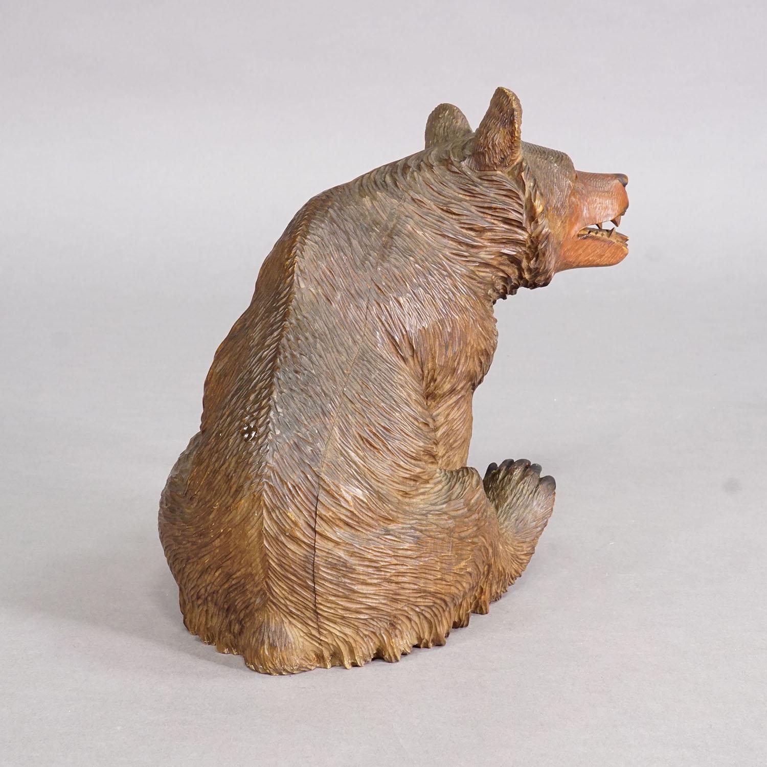Antiker sitzender Bär aus Holz, handgeschnitzt ca. 1920er Jahre, Brienz (Schwarzwald) im Angebot