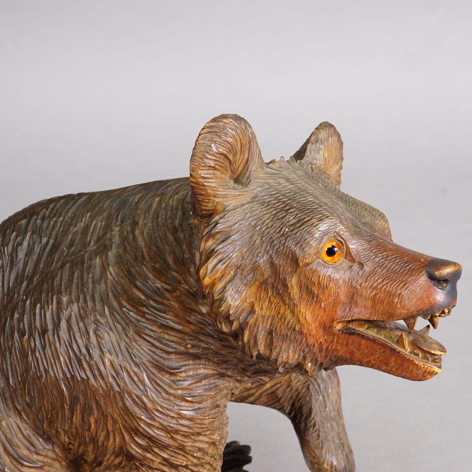 Antiker sitzender Bär aus Holz, handgeschnitzt ca. 1920er Jahre, Brienz (Schweizerisch) im Angebot