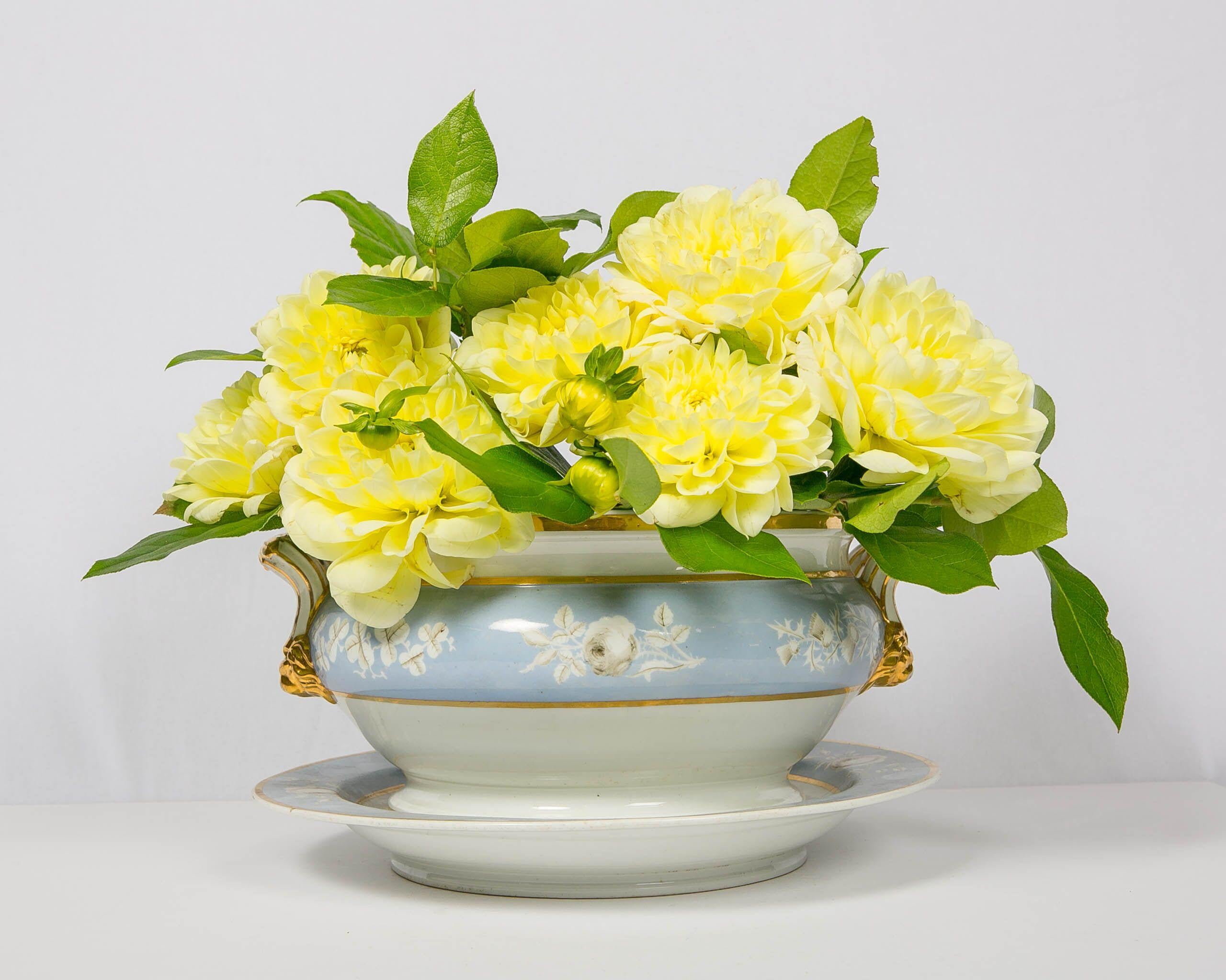 We are pleased to offer this standout Worcester soup tureen and stand painted in baby blue and decorated with white roses. The tureen is further decorated on the cover with lavish gold gilding which also decorates the finial and the handles. It was