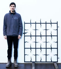 Antique Wrought Iron Antique Gate