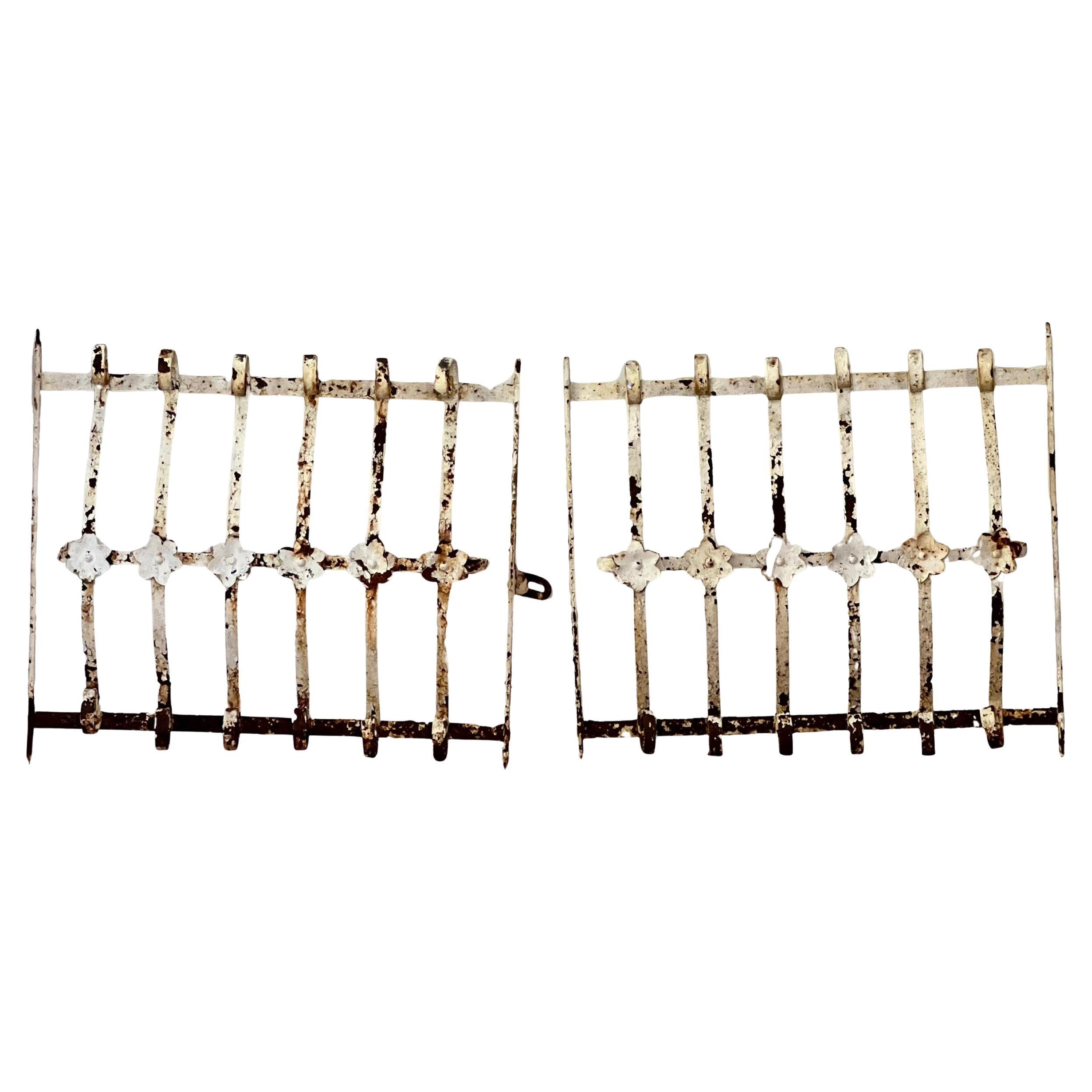 Antique Wrought Iron Window Guard Grates/Grills or Garden Gates, Set of 2