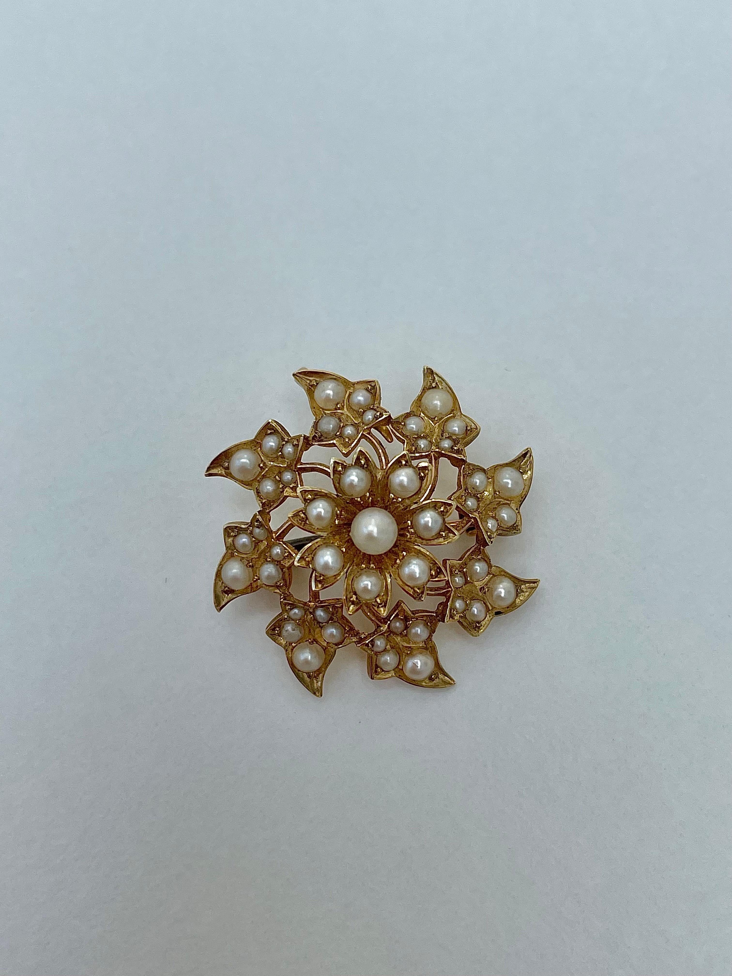 Edwardian Antique Yellow Gold Pearl Floral Starburst Pendant/ Brooch For Sale
