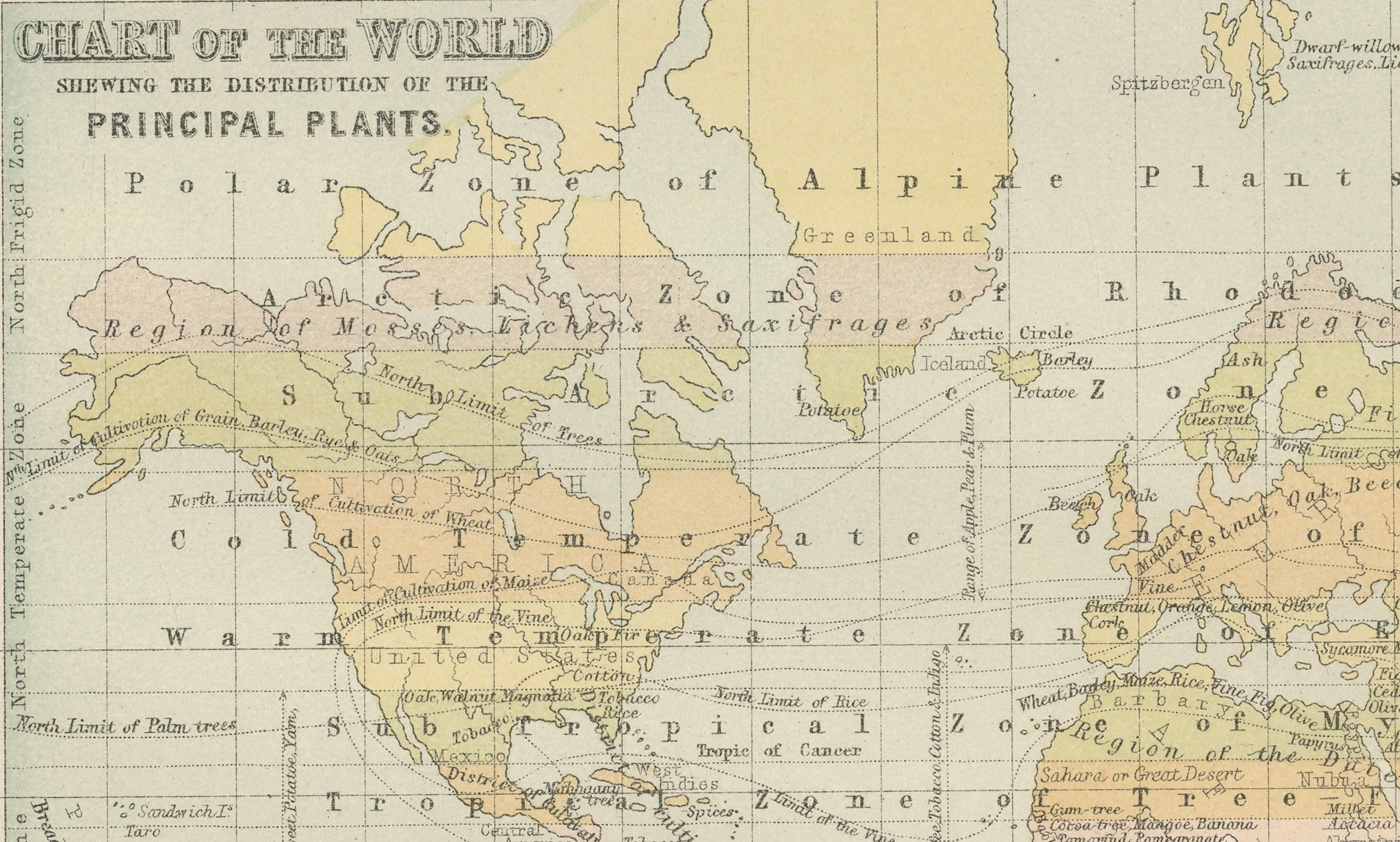 Scottish Antique Zoological and Botanical Chart of the World – Decorative Map, 1884 For Sale