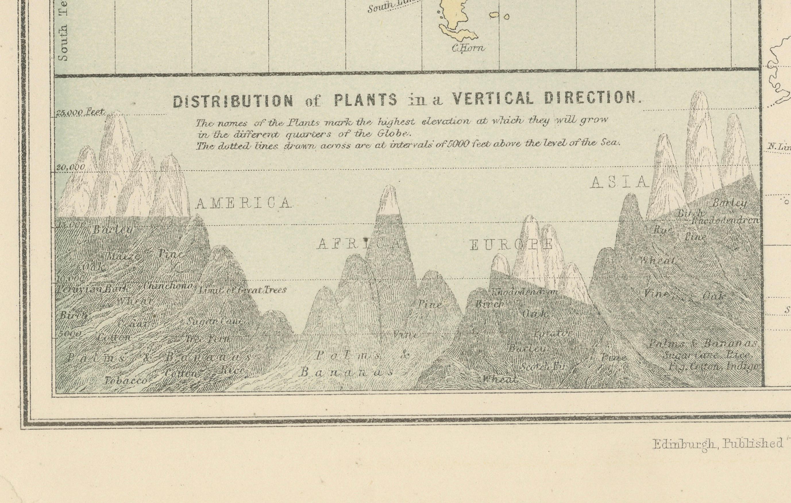 Antique Zoological and Botanical Chart of the World – Decorative Map, 1884 In Good Condition For Sale In Langweer, NL