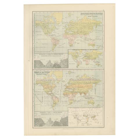 Antique Zoological and Botanical Chart of the World – Decorative Map, 1884