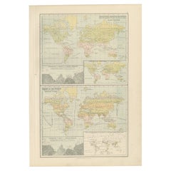 Antique Zoological and Botanical Chart of the World – Decorative Map, 1884