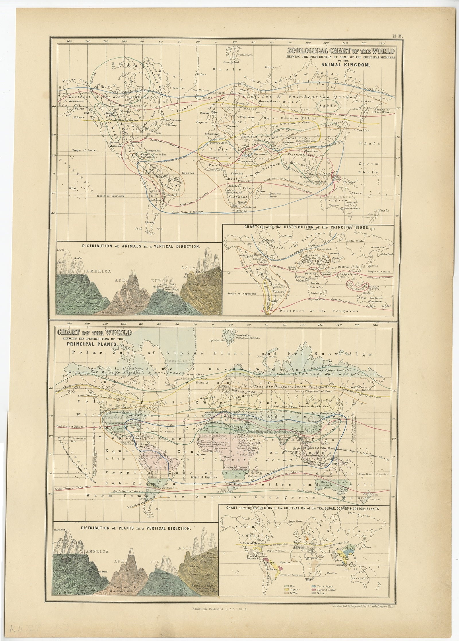 Antique map titled 'Zoological Chart of the World'. Total of six maps and insets. Insets of the distribution of Animals in a vertical direction, Chart of the Distribution of the Principal Birds, Distribution of Plants in a Vertical Direction, and