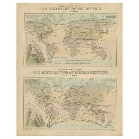 Antique Zoological Map, 1843